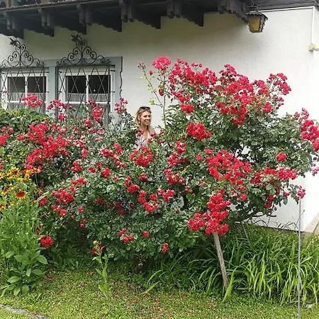 Сasa de vacaciones Rosis Lienz