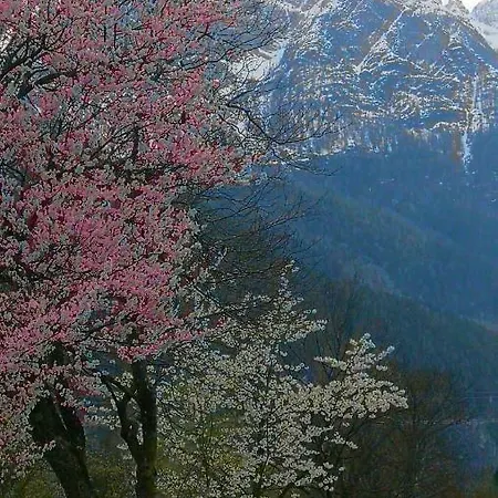 Сasa de vacaciones Rosis *