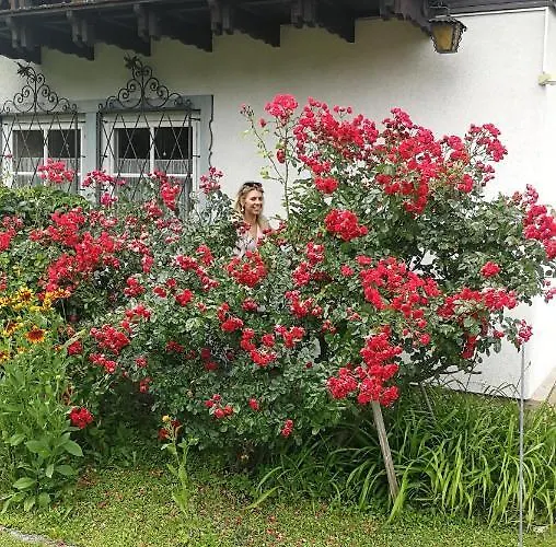 Holiday home Rosis Lienz